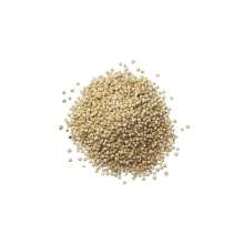 Wholesale high protein white organic quinoa  price